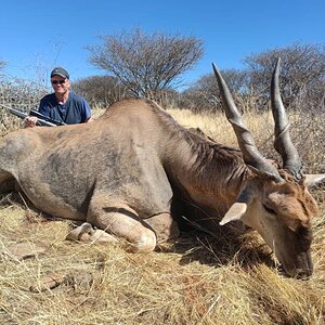 Eland Hunt Namibia