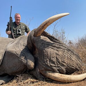 Elephant Hunting Gwayi River Zimbabwe