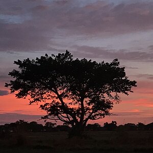 Sunset Zambia