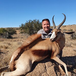 Copper Springbok Hunting South Africa