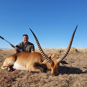 Lechwe Hunting South Africa