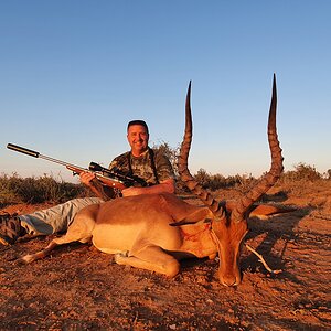 Impala Hunting South Africa