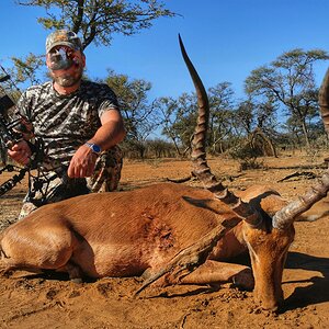 Bow Hunting Impala South Africa