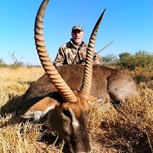 Waterbuck Hunt South Africa