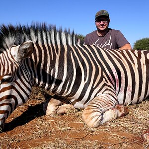 Burchell's Zebra Hunt South Africa