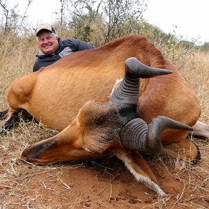 Hartebeest Hunt South Africa