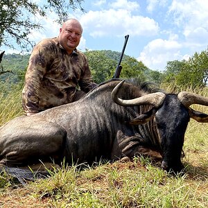 Blue Wildebeest Hunt South Africa