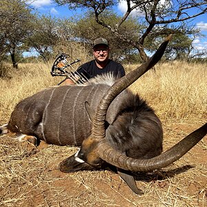 Nyala Hunt South Africa