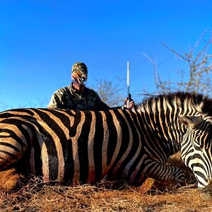 Zebra Hunt South Africa