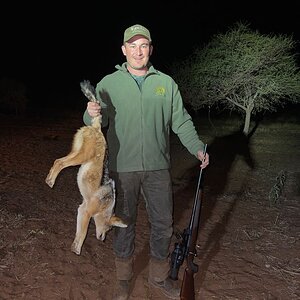 Jackal Hunt Limpopo Povince South Africa