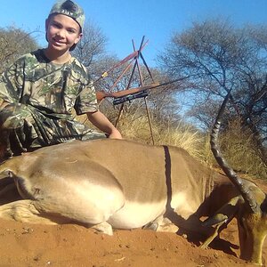 Impala Hunting Limpopo Povince South Africa