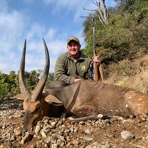 Bushbuck Hunting Limpopo Povince South Africa