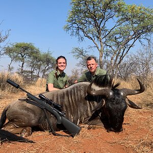 Blue Wildebeest Hunting Limpopo Povince South Africa