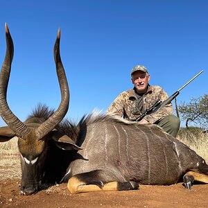 Nyala Hunt South Africa