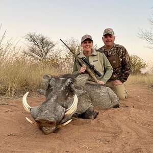 Warthog Hunt South Africa