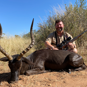 Black Impala Hunt South Africa