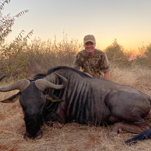 Blue Wildebeest Hunt South Africa