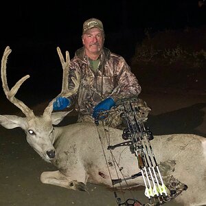 Bow Hunting Mule Deer Wyoming