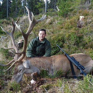 Red Stag Hunting Romania