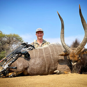 Nyala Bow Hunting South Africa