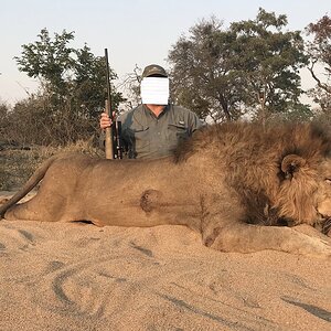 Lion Hunt South Africa