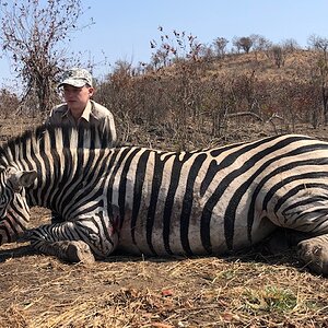 Zebra Hunting Matetsi Zimbabwe