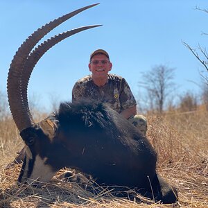 Sable Hunting Matetsi Zimbabwe