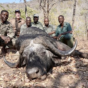 Hunting Buffalo Zimbabwe