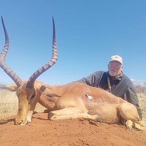 Impala Hunting Limpopo South Africa