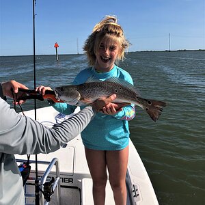 Red Drum Fishing Texas Coast