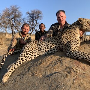 Leopard Hunt Namibia