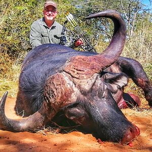 Bow Hunting Buffalo South Africa