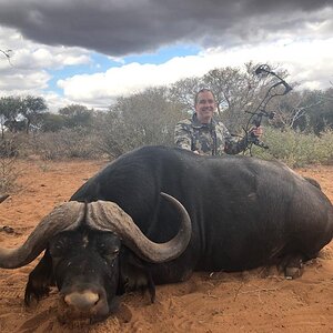 Bow Hunting Buffalo South Africa