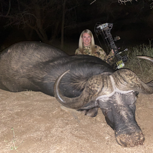 Bow Hunting Buffalo South Africa