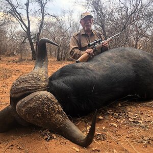 Hunting Buffalo South Africa