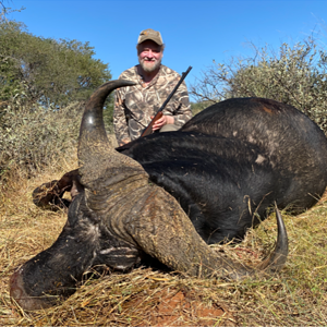 Hunting Buffalo South Africa