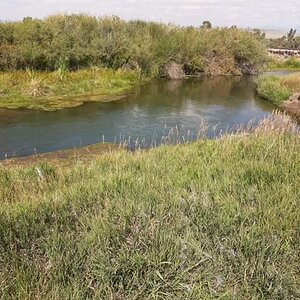 Jefferson River Montana