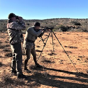 Practise Shooting From Shooting Sticks