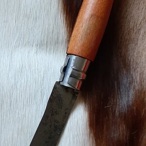 Opinel Knife