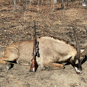 Roan Hunt Muchinga Zambia