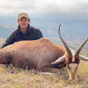 Blesbok Hunt Eastern Cape South Africa