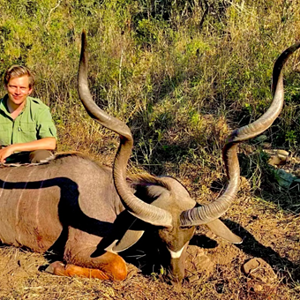 Kudu Hunt Eastern Cape South Africa