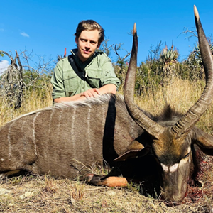 Nyala Hunt Eastern Cape South Africa