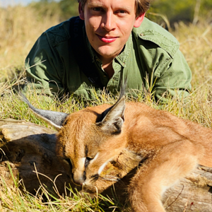 Carcacal Hunt Eastern Cape South Africa