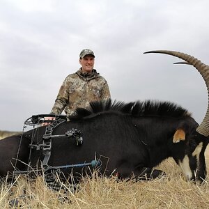 Sable South Africa, Kuche Safaris