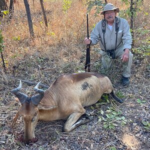 Lichtenstein Hartebeest Hunt Tanzania