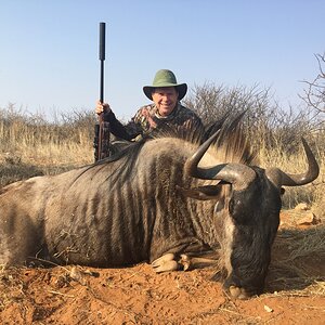 Blue Wildebeest Hunt Namibia