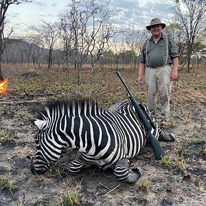 Zebra Hunt Tanzania