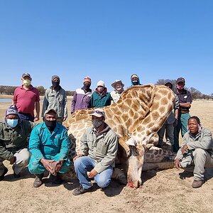 Giraffe Hunt South Africa