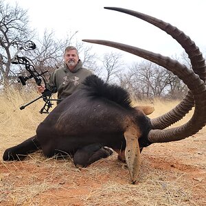 Sable Hunt Limpopo South Africa